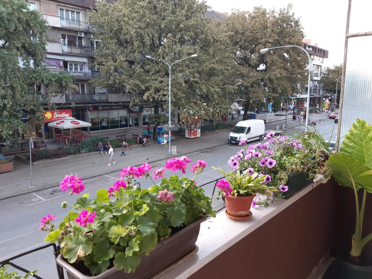 Apartman Nada Požarevac المظهر الخارجي الصورة